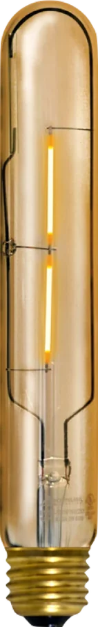 Brighton Tubular, t10