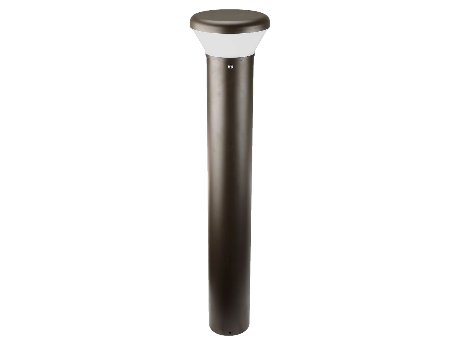 Sentry bollard luminaire